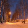 db_060202_IMG_07943