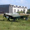 db_IMG_66691