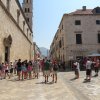 IMG_2255