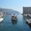 IMG_2279