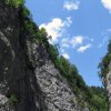 IMG_8559