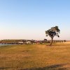 IMG_4203
