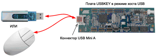 AVR287-USB-host-pic1 1